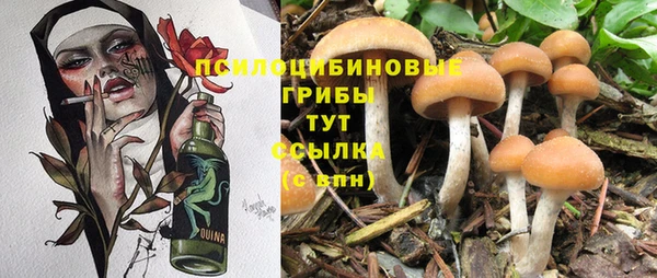 прущая мука Приозерск