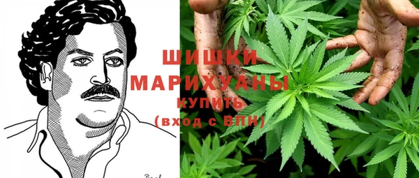 PSILOCYBIN Пролетарск
