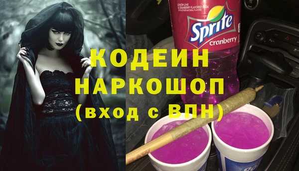 молекула духа Лабытнанги