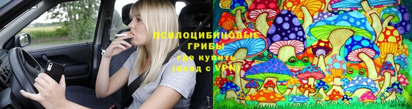прущая мука Приозерск