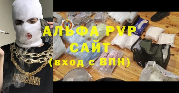 индика Гусиноозёрск